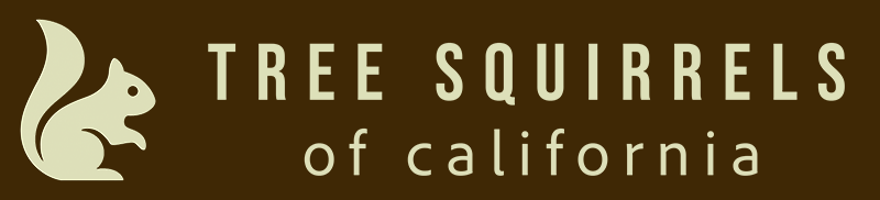 TSOC logo - a squirrel silhouette on brown background