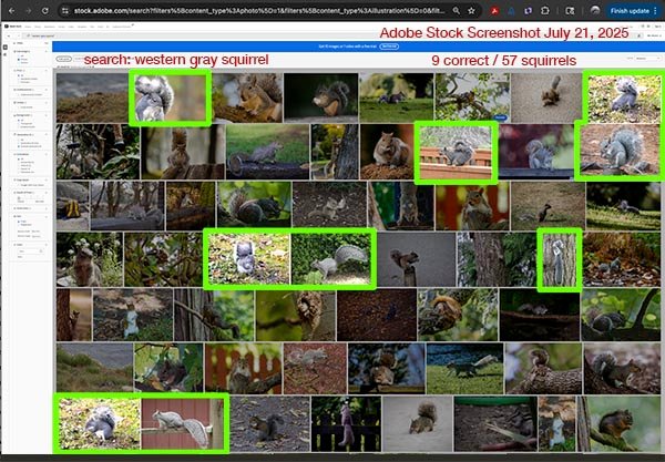 Adobe stock screenshot