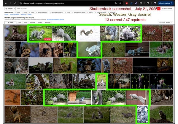 Shutterstock stock screenshot